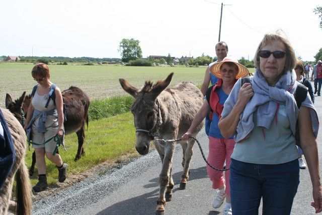 2015-07-06 rando anes (30).JPG